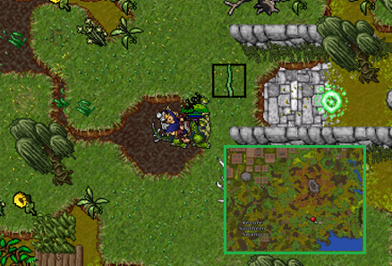 Mega Pixel Entrance